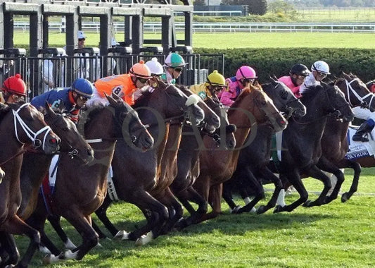 Wise Dan - 100612 Race 09 Start Keeneland