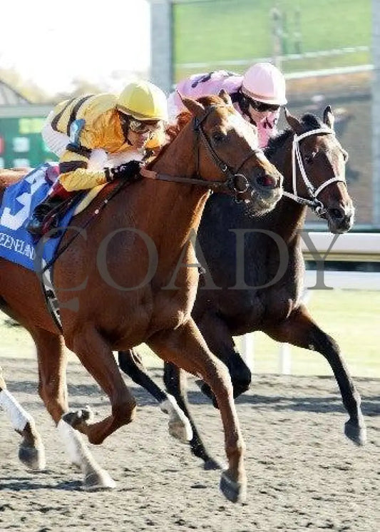Wise Dan - The Phoenix Tight Fin Keeneland