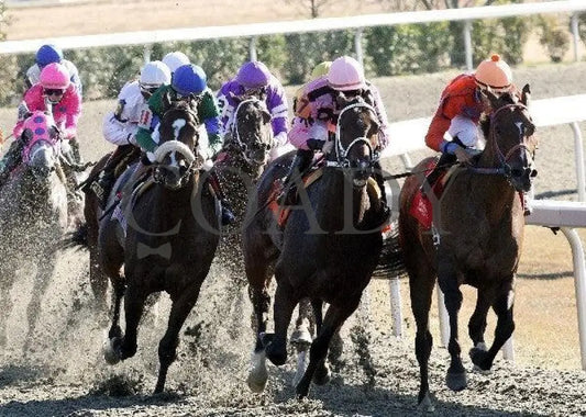 Wise Dan - The Phoenix Turn Keeneland