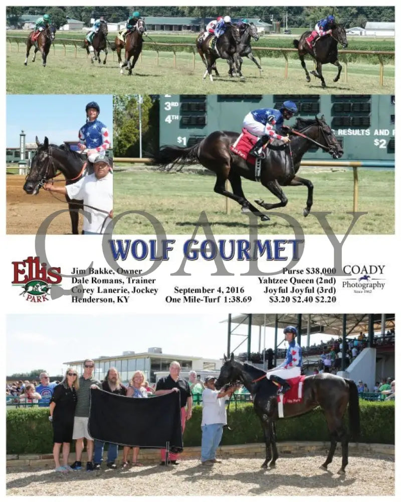 Wolf Gourmet - 090416 Race 04 Elp Ellis Park