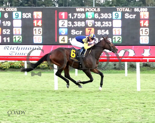 WOLFIE'S DYNAGHOST - The Bert Allen Handicap - 09-13-25 - CNL - Finish 01 - Coady Media - Kurtis Coady Photography