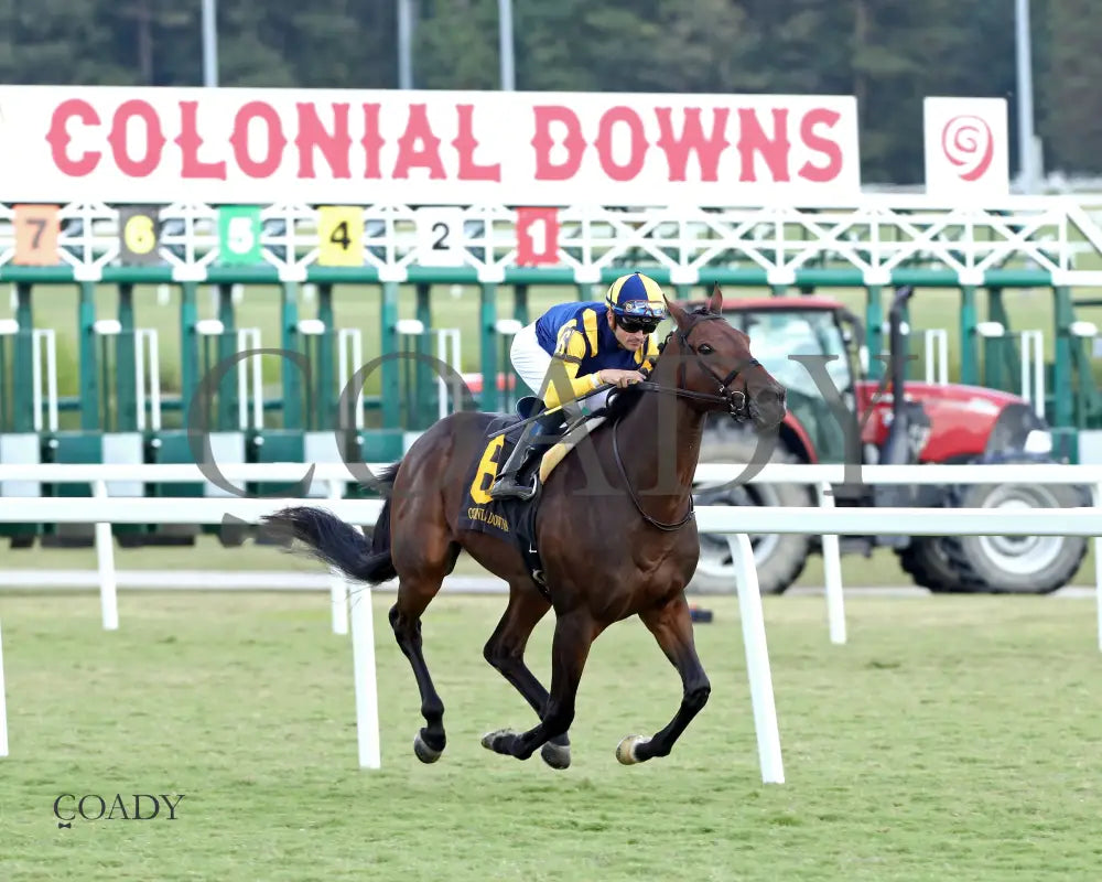 WOLFIE'S DYNAGHOST - The Bert Allen Handicap - 09-13-25 - CNL - Finish 02 - Coady Media - Kurtis Coady Photography