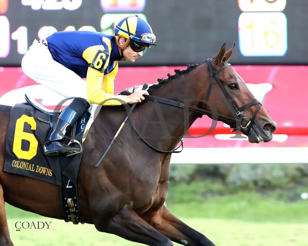 WOLFIE'S DYNAGHOST - The Bert Allen Handicap - 09-13-25 - CNL - Finish 03 - Coady Media - Kurtis Coady Photography