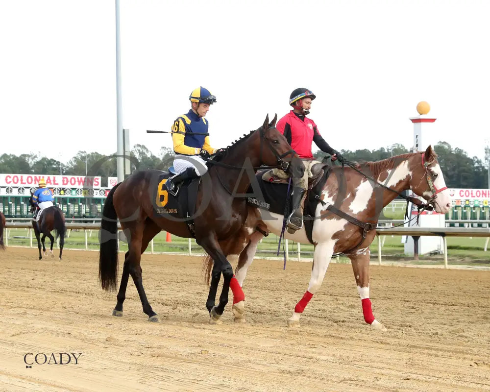 WOLFIE'S DYNAGHOST - The Bert Allen Handicap - 09-13-25 - CNL - Post Parade 02 - Coady Media - Kurtis Coady Photography