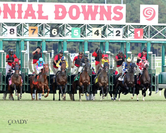 WOLFIE'S DYNAGHOST - The Bert Allen Handicap - 09-13-25 - CNL - Start 01 - Coady Media - Kurtis Coady Photography