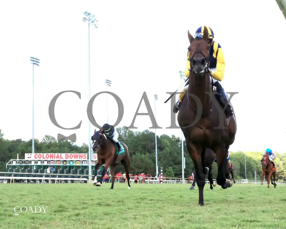 WOLFIE'S DYNAGHOST - The Bert Allen Handicap - 09-13-25 - CNL - Under Rail 01 - Coady Media - Kurtis Coady Photography