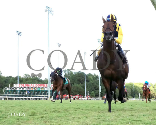 WOLFIE'S DYNAGHOST - The Bert Allen Handicap - 09-13-25 - CNL - Under Rail 01 - Coady Media - Kurtis Coady Photography