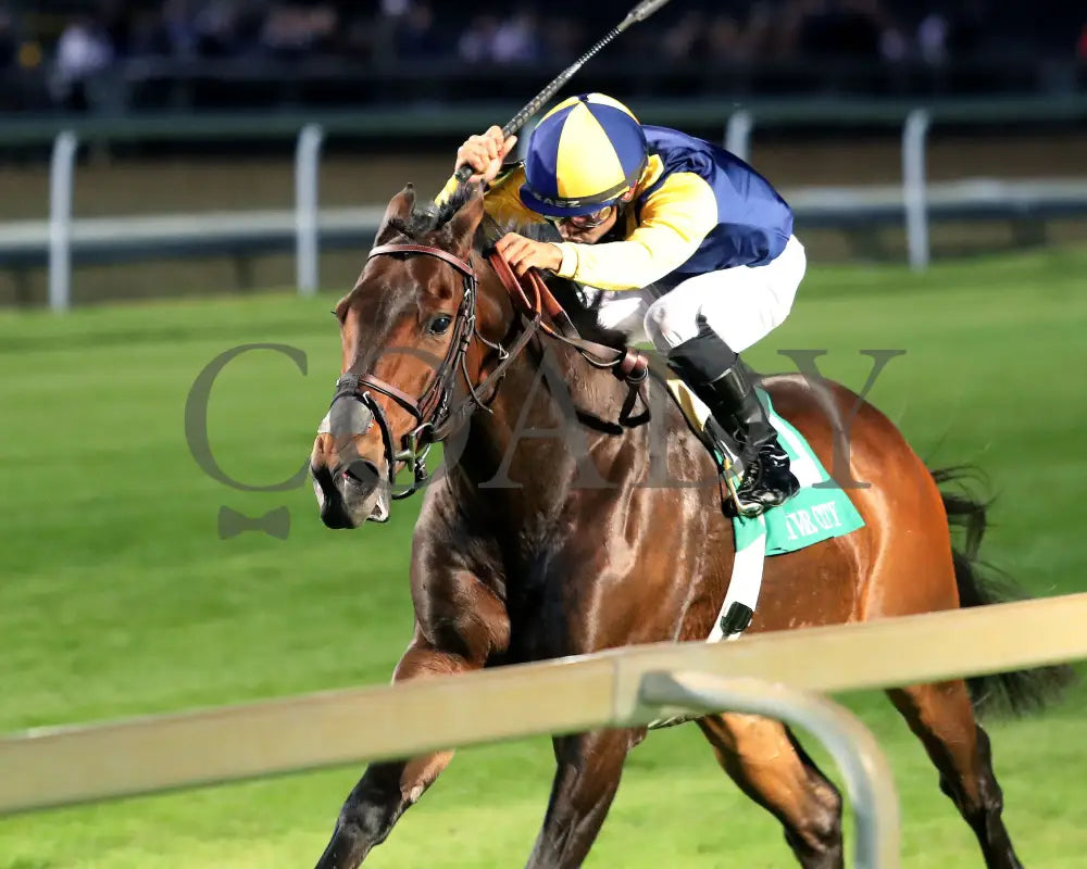 WOLFIE’S DYNAGHOST - The River City G3 - 11-08-25 - R11 - CD - Inside Finish 01 Churchill Downs