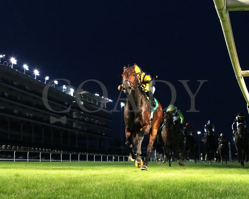 WOLFIE’S DYNAGHOST - The River City G3 - 11-08-25 - R11 - CD - Under Rail 01 Churchill Downs