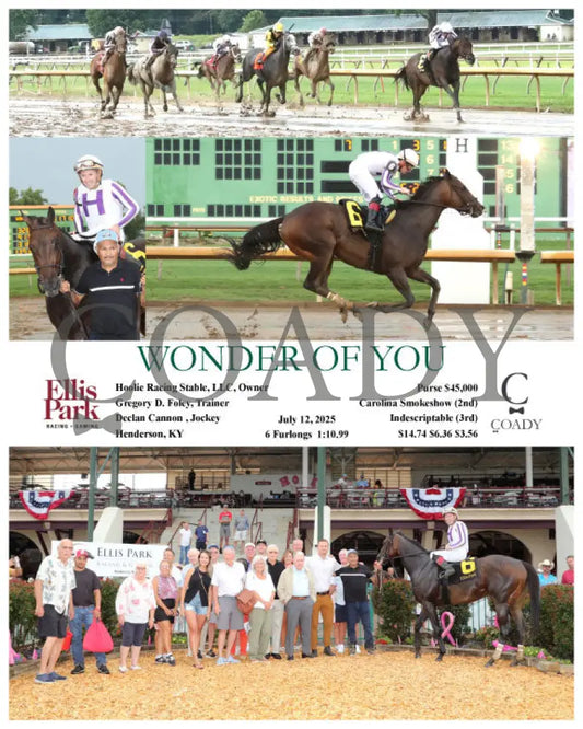 WONDER OF YOU - 07-12-25 - R07 - ELP Ellis Park