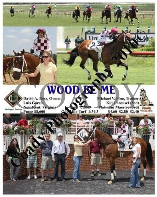 Wood Be Me - 6 7 2009 Colonial Downs
