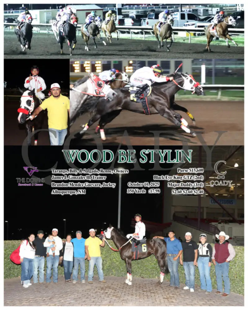 WOOD BE STYLIN - 10-10-25 - R06 - ALB Downs at Albuquerque