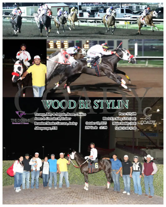 WOOD BE STYLIN - 10-10-25 - R06 - ALB Downs at Albuquerque