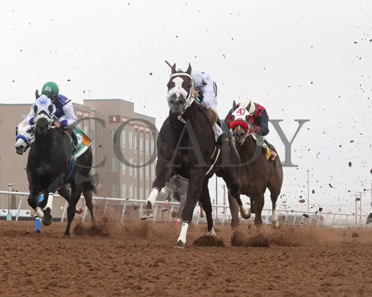 WOODY ROCKS - NMHBA Quarter Horse Stakes-32nd Running - 04-05-25 - R06 - Sunland Park - Under Rail Sunland Park