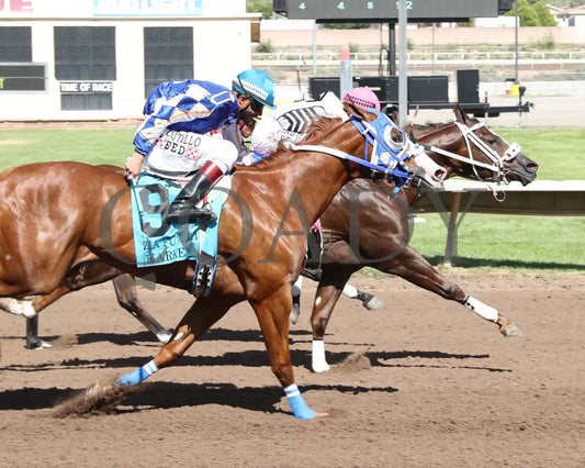 Woody Rocks - Zia Quarter Horse Futurity G1 07-28-24 R09 The Downs At Albuquerque Finish