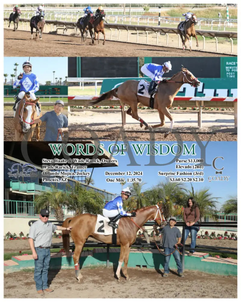 Words Of Wisdom - 12-12-24 R05 Tup Turf Paradise