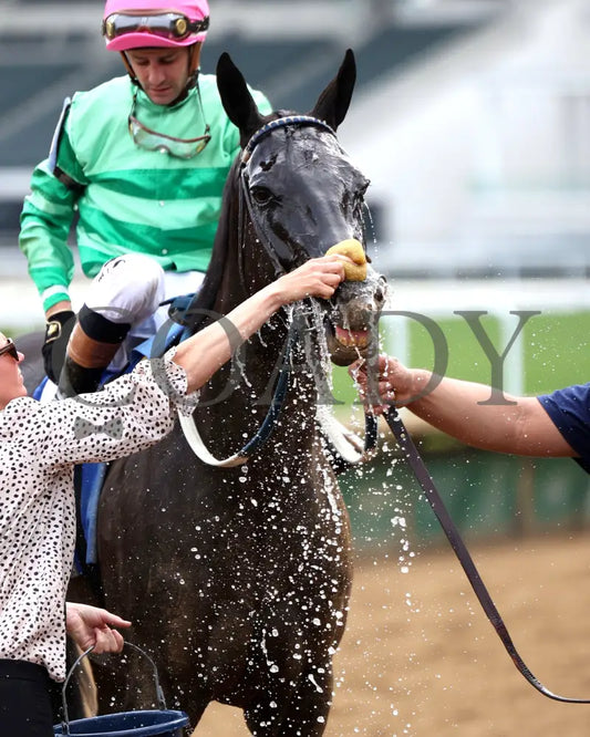 WORLD BEATER - 053125 - Race 07 - CD The Audubon - 6th Running - Bath 01 Churchill Downs