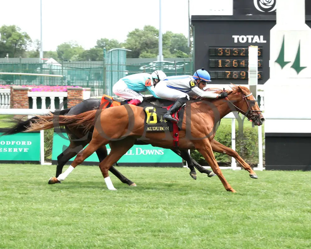 WORLD BEATER - 053125 - Race 07 - CD The Audubon - 6th Running - Finish 01 Churchill Downs