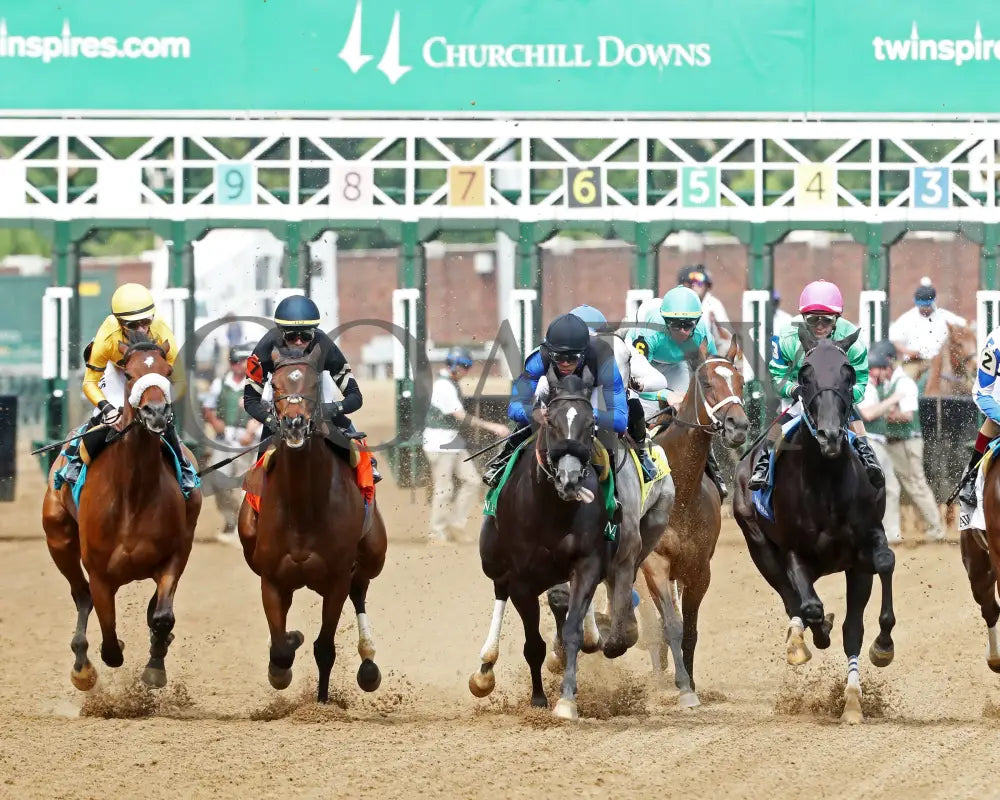WORLD BEATER - 053125 - Race 07 - CD The Audubon - 6th Running - First Turn 01 Churchill Downs
