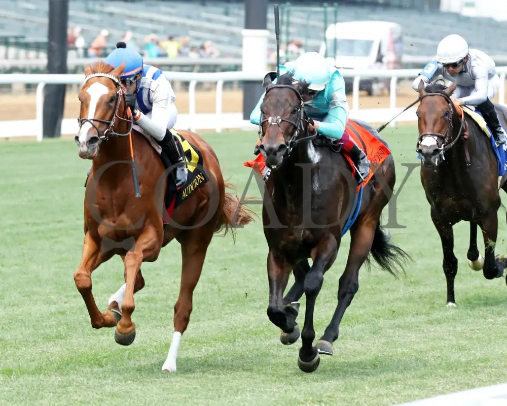 WORLD BEATER - 053125 - Race 07 - CD The Audubon - 6th Running - Inside Finish 01 Churchill Downs