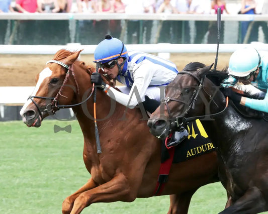 WORLD BEATER - 053125 - Race 07 - CD The Audubon - 6th Running - Inside Finish 02 Churchill Downs