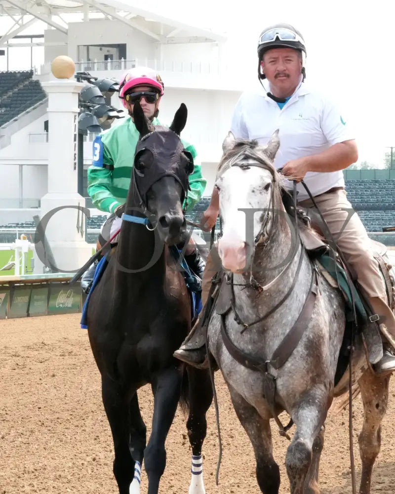 WORLD BEATER - 053125 - Race 07 - CD The Audubon - 6th Running - Post Parade 01 Churchill Downs