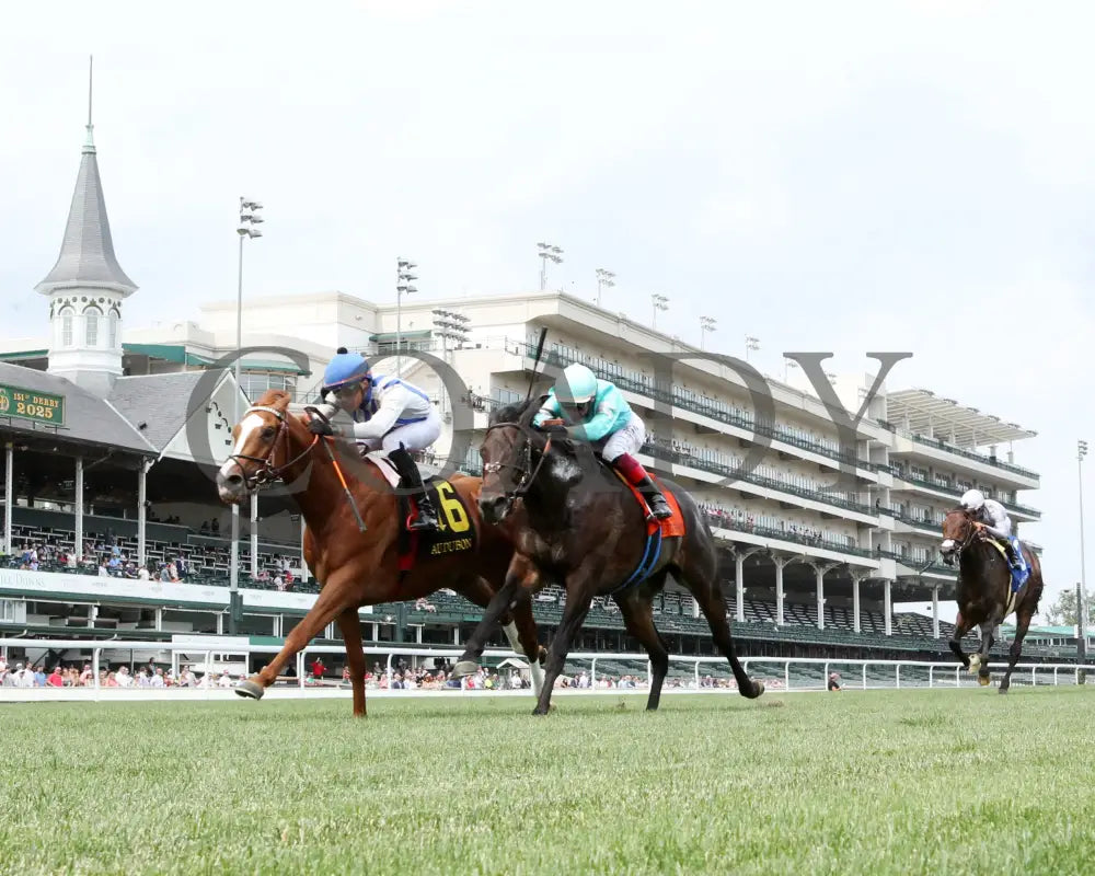 WORLD BEATER - 053125 - Race 07 - CD The Audubon - 6th Running - Under Rail 01 Churchill Downs
