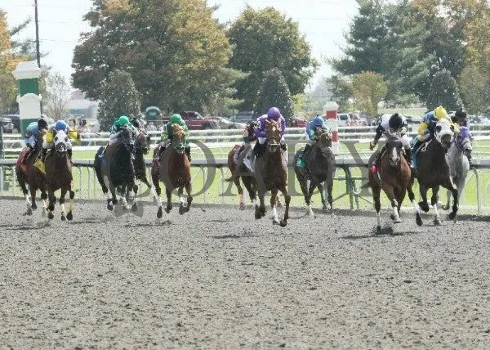 Xpectation - 2 101411 Race 01 Keeneland