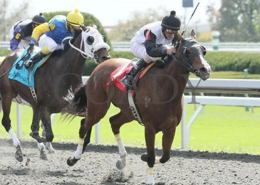 Xpectation - 3 101411 Race 01 Keeneland