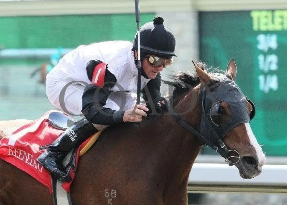 Xpectation - 4 101411 Race 01 Keeneland