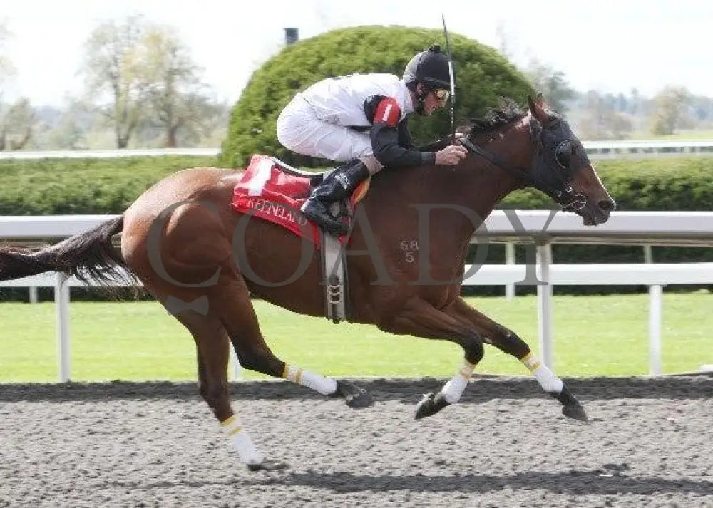 Xpectation - 5 101411 Race 01 Keeneland