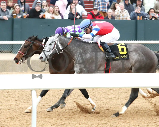Xtreme Diva - The Dixie Belle Stakes 46Th Running 02-17-24 R09 Op Inside Finish 01 Oaklawn Park