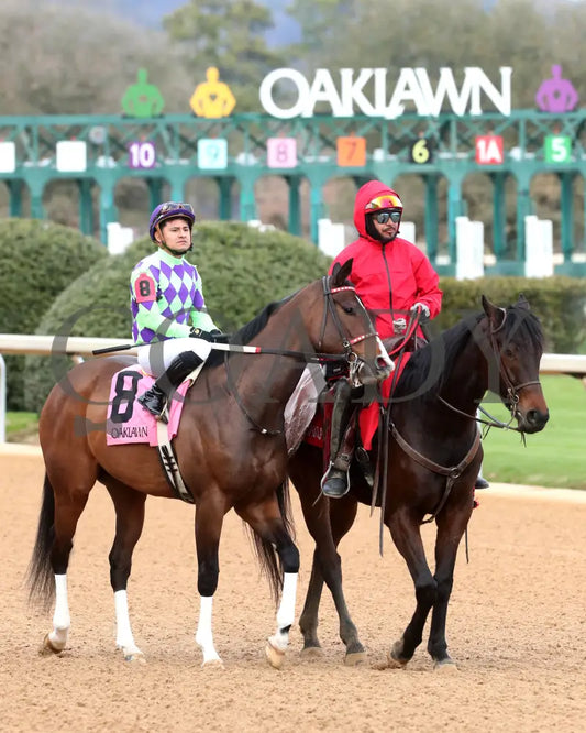 Xtreme Diva - The Dixie Belle Stakes 46Th Running 02-17-24 R09 Op Post Parade 01 Oaklawn Park