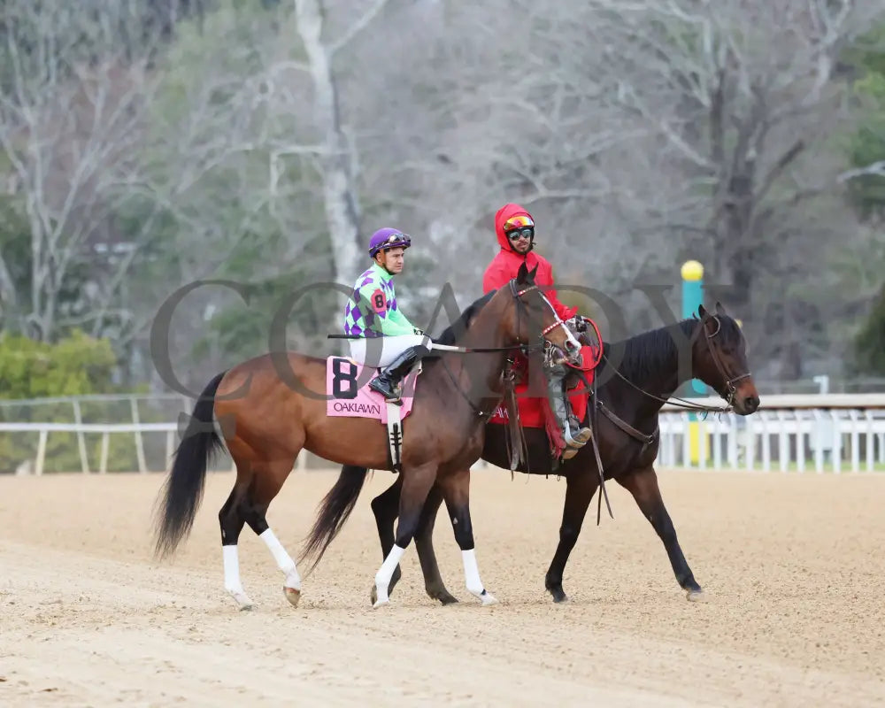 Xtreme Diva - The Dixie Belle Stakes 46Th Running 02-17-24 R09 Op Post Parade 05 Oaklawn Park