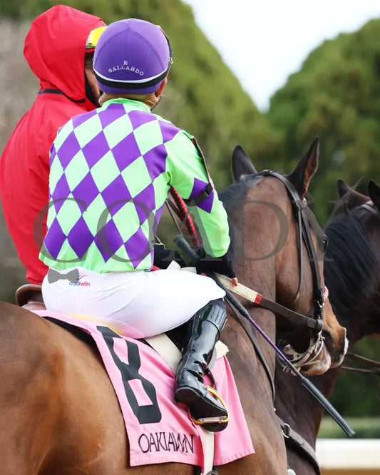 Xtreme Diva - The Dixie Belle Stakes 46Th Running 02-17-24 R09 Op Post Parade 02 Oaklawn Park