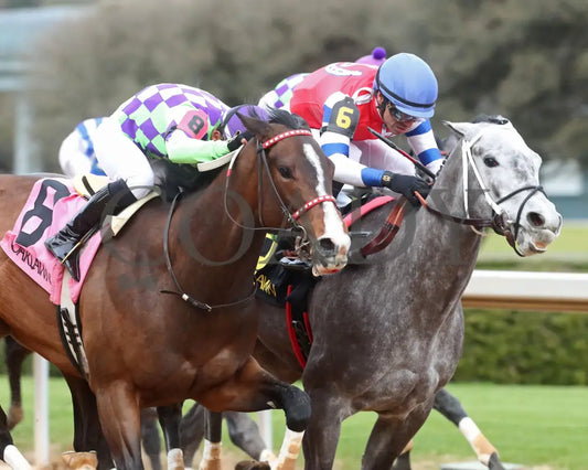Xtreme Diva - The Dixie Belle Stakes 46Th Running 02-17-24 R09 Op Tight Finish 02 Oaklawn Park