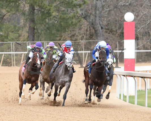 Xtreme Diva - The Dixie Belle Stakes 46Th Running 02-17-24 R09 Op Turn 01 Oaklawn Park