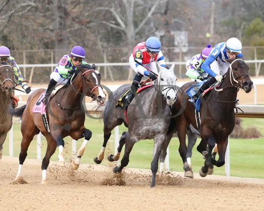 Xtreme Diva - The Dixie Belle Stakes 46Th Running 02-17-24 R09 Op Turn 02 Oaklawn Park