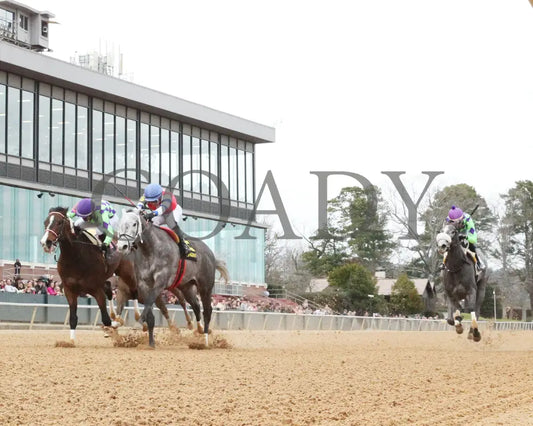 Xtreme Diva - The Dixie Belle Stakes 46Th Running 02-17-24 R09 Op Under Rail 01 Oaklawn Park
