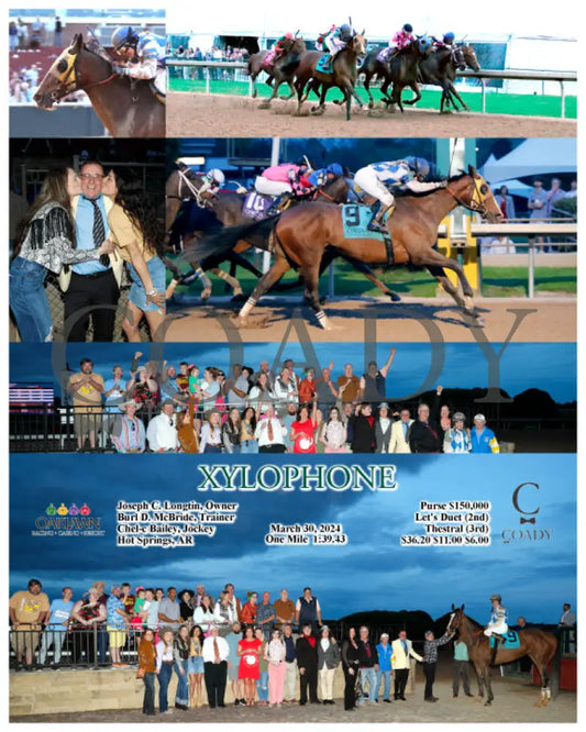Xylophone - 03 - 30 - 24 R13 Op Oaklawn Park