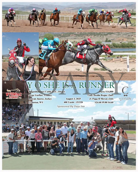 Y O SHE IS A RUNNER - 08-03-25 - R05 - WYO Wyoming Downs