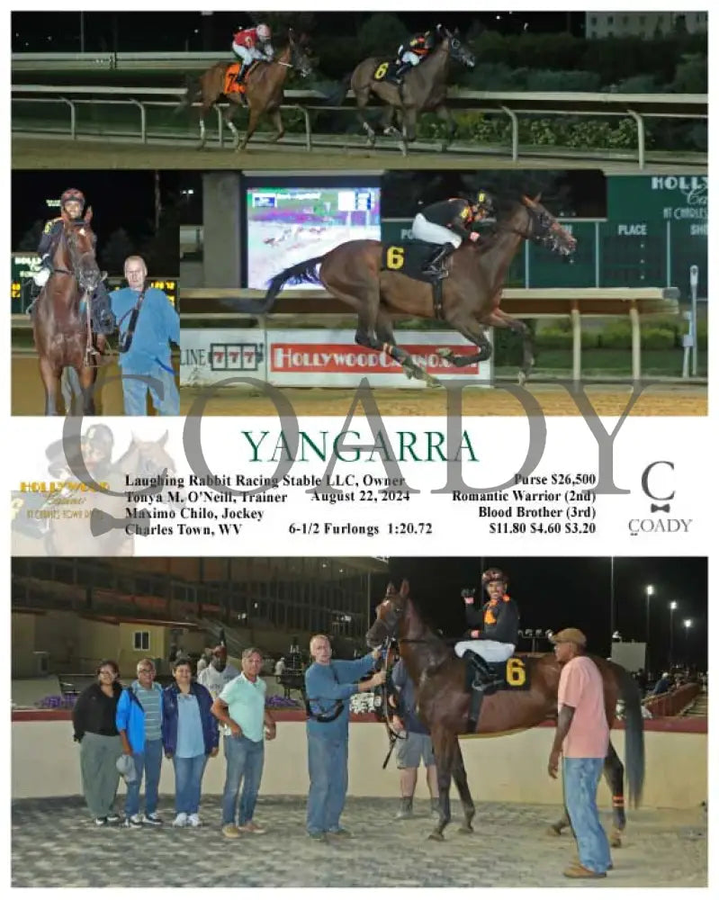 Yangarra - 08-22-24 R06 Ct Hollywood Casino At Charles Town Races