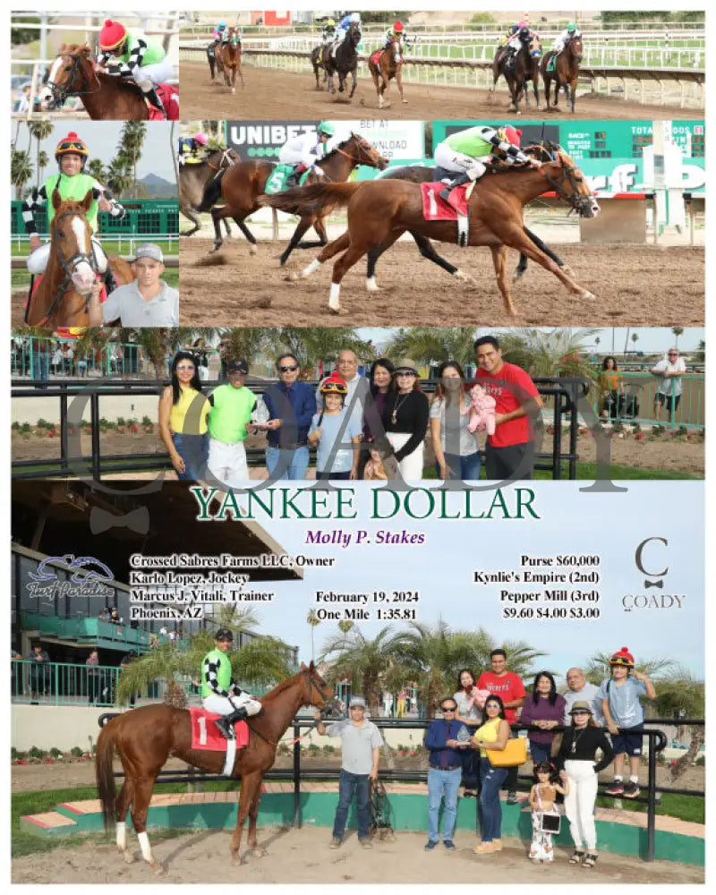 Yankee Dollar - Molly P. Stakes 02-19-24 R07 Tup Turf Paradise
