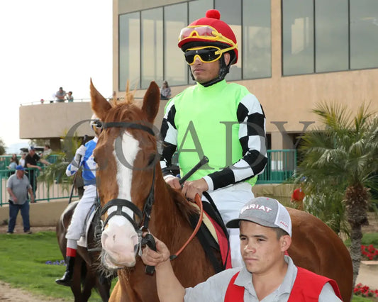 Yankee Dollar - Molly P Stakes 02-19-24 R07 Turf Paradise Post Parade 2