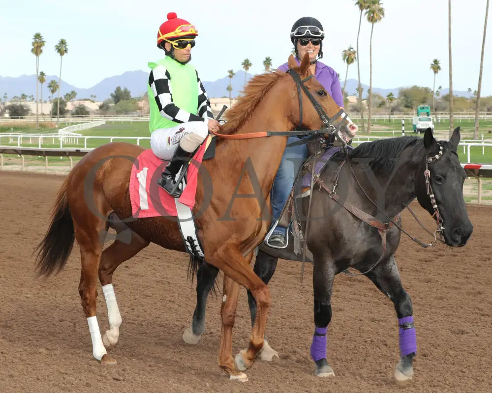 Yankee Dollar - Molly P Stakes 02-19-24 R07 Turf Paradise Post Parade