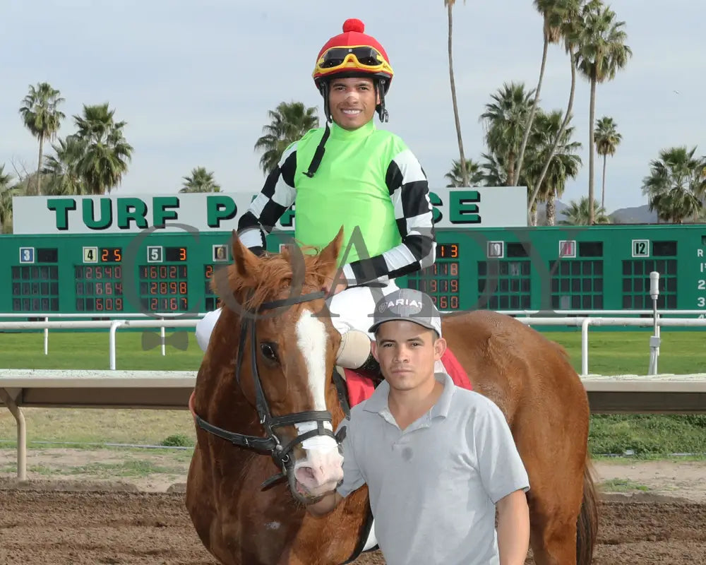 Yankee Dollar - Molly P Stakes 02-19-24 R07 Turf Paradise Return Shot