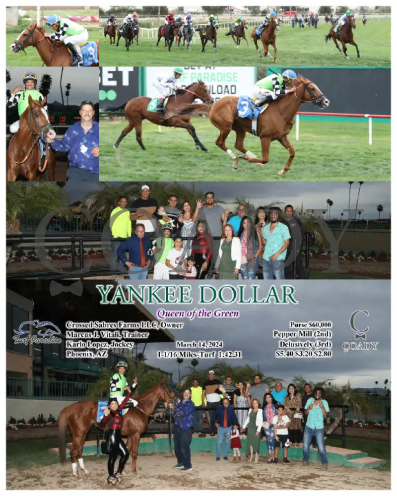 Yankee Dollar - Queen Of The Green 03 - 14 - 24 R09 Tup Turf Paradise
