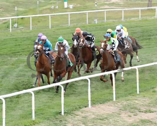 Yankee Dollar - Queen Of The Green 03 - 14 - 24 R09 Turf Paradise Chute