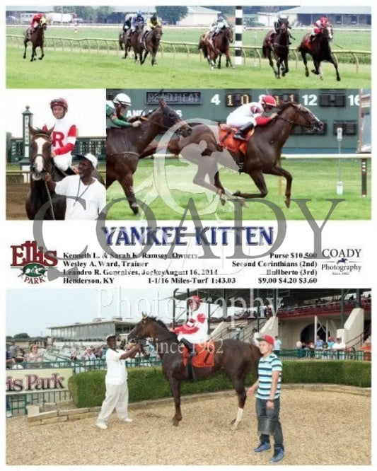 Yankee Kitten - 081614 Race 01 Elp Ellis Park