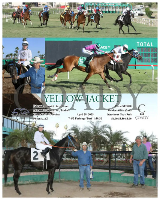 YELLOW JACKET - 04-28-25 - R09 - TUP Turf Paradise